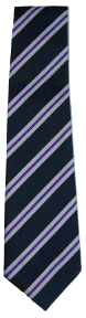 Old Totnesian Tie