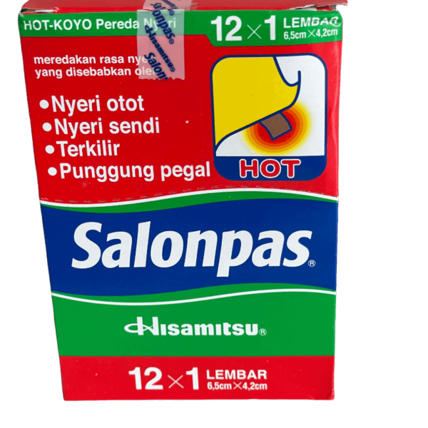 HISAMITSU Salonpas Pleister Rood Heet (10)