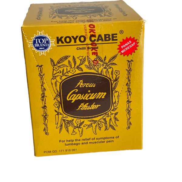 KOYO CABE Plaster (20)