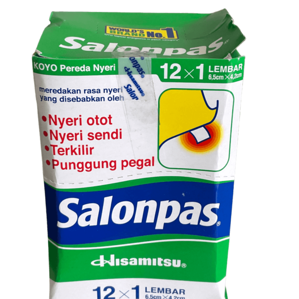 HISAMITSU Salonpas Pleister (10)